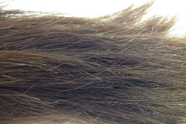 头发分叉越剪越多吗，头发分叉还能染发吗