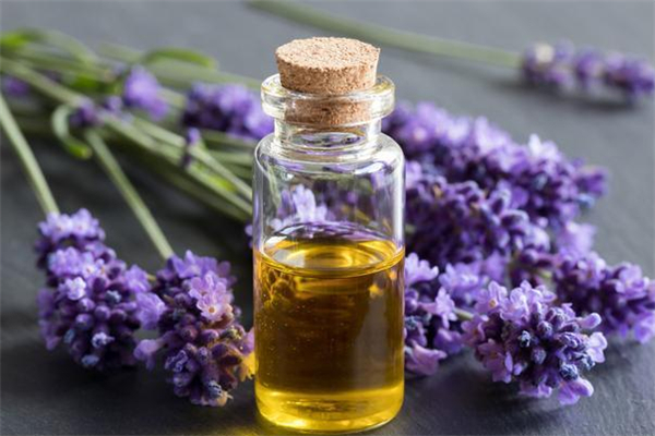 薰衣草精油可以直接涂抹在脸上吗，薰衣草精油对皮肤的作用