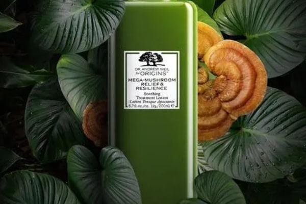 菌菇水是灵芝水吗，菌菇水是哪个国家的品牌