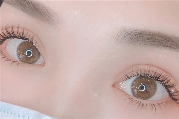 种睫毛有几种类型，种睫毛怎么选择适合自己的