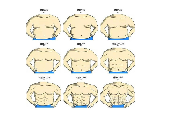 体脂率是脂肪率吗，体脂率是怎么测出来的