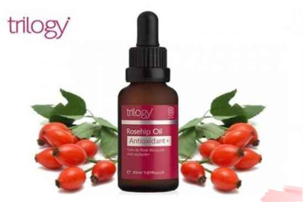 Trilogy玫瑰果油效果如何，Trilogy玫瑰果油价格贵吗