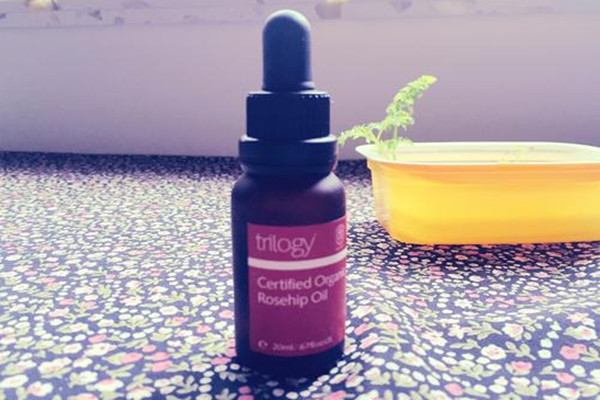 Trilogy玫瑰果油油皮能用吗，Trilogy玫瑰果油油皮会油吗
