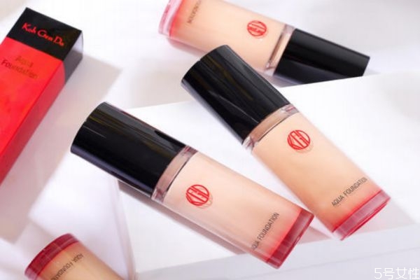 江原道粉底液和雅诗兰黛沁水粉底液哪个好，都适合干皮