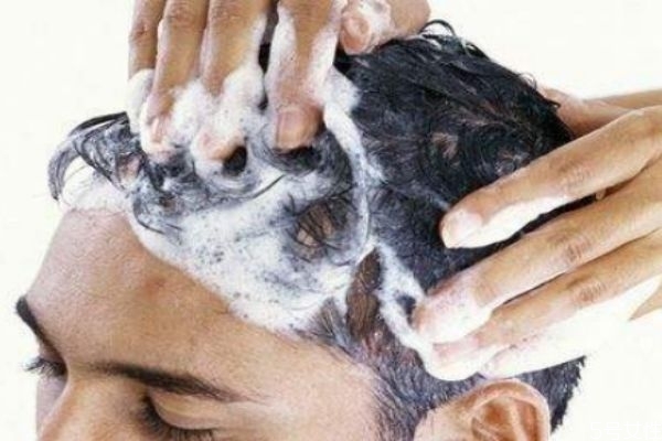 茶麸怎么用来洗头，​茶麸洗头有哪些好处