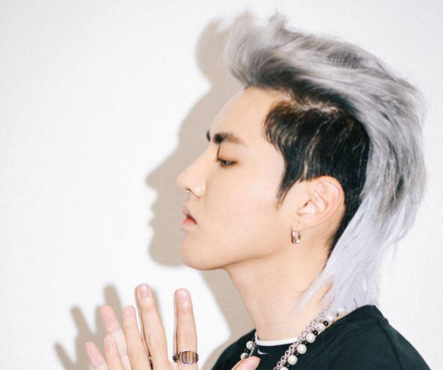 圆脸适合鲻鱼头吗，鲻鱼头如何打理