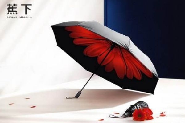 太阳伞发霉了怎么清洗，伞发霉了怎么清洗