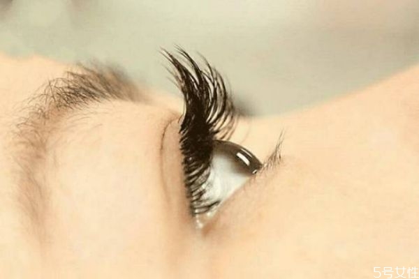 睫毛嫁接选什么毛最好，嫁接睫毛哪个粗度最好