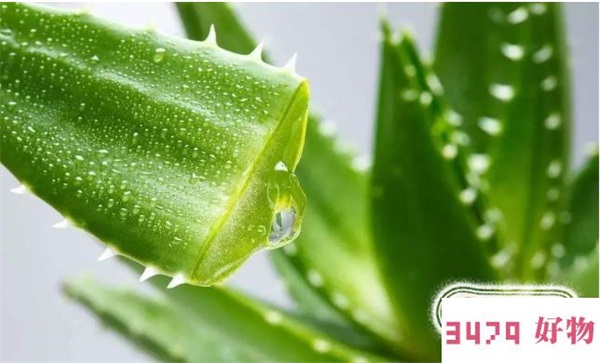 排毒养颜祛痘的偏方。