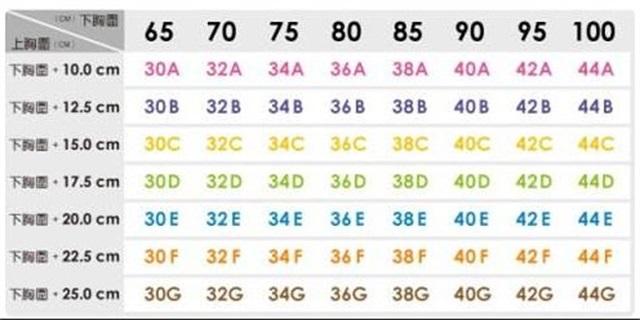 75e内衣尺码是多大罩杯
