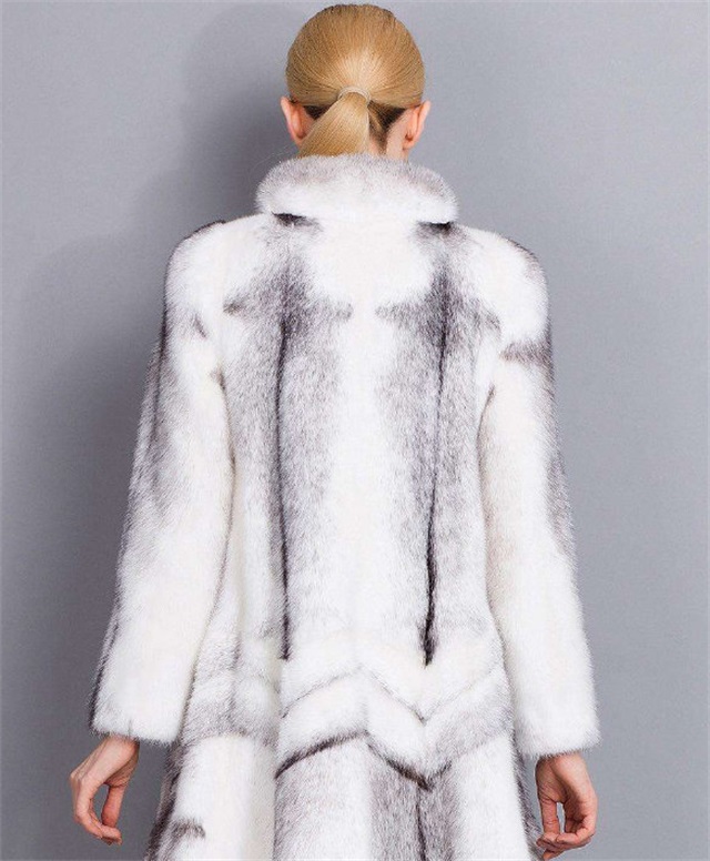 十字貂属于什么档次