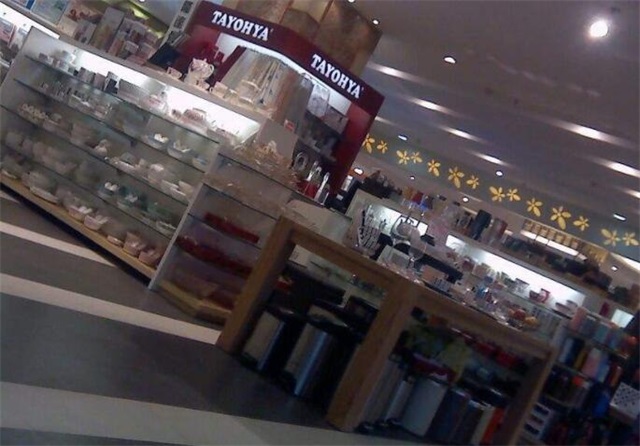 tayohya是什么牌子