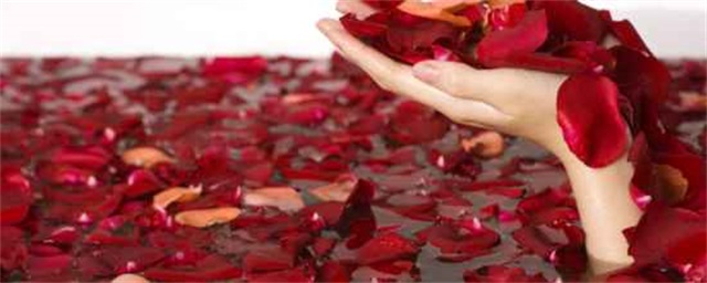 玫瑰精油一次用几滴，玫瑰精油有助于睡眠吗