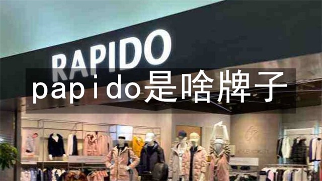 papido是啥牌子
