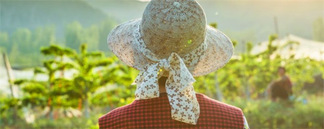 防晒帽的清洗方法，防晒帽怎么清洗