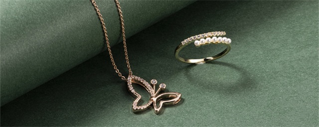 黑天鹅项链是什么寓意，黑天鹅项链有什么寓意