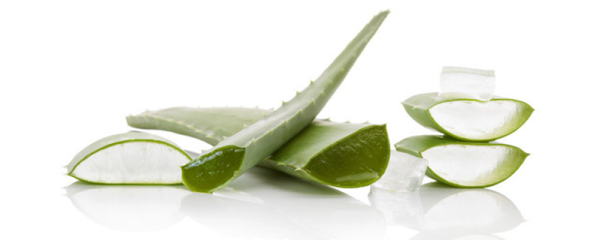 痘痘破了能不能使用芦荟胶，痘痘破了可以用芦荟胶吗