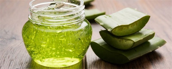  芦荟胶能不能涂伤口，芦荟胶可以涂伤口吗