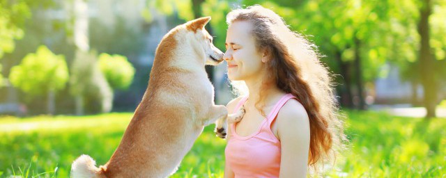 怎么确保爱犬产后健康，确保爱犬产后健康方法