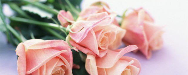 情人节送玫瑰花的由来，情人节送玫瑰花怎么来的