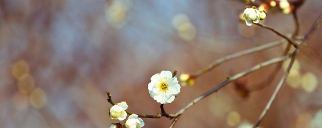 节气的由来，节气的由来介绍