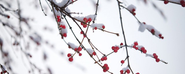 二十四节气由来，二十四节气由来介绍