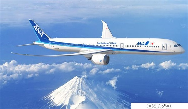 中国飞机失事赔偿标准，飞机失事幸存者会得到赔偿吗