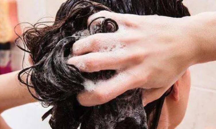 染完发用洗发水还是直接用护发素