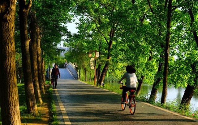 价格方面也有较大的出入，注射胶原蛋白贵不贵