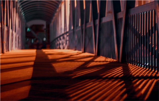 面颈部老化状况，皱纹的产生原因是什么