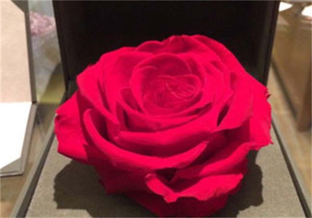 通过各种的方式，怎么才能做好面部美容