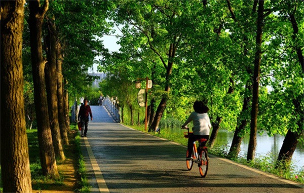 雀斑选择正确治疗方法，雀斑的引起原因是什么