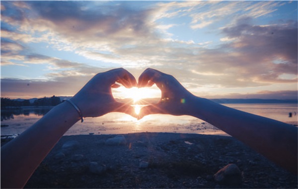 使皮肤变得有弹性，不仅好吃而且美容的食物都是什么