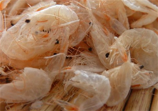 关于基本的美容知识，女人变漂亮的美容常识有什么