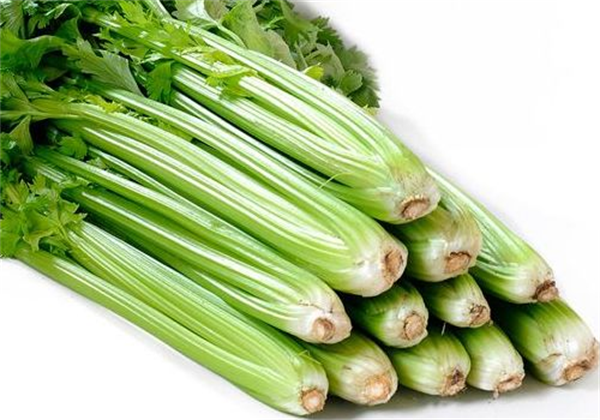 选择适合自己的护肤品，日常对雀斑的护理方法是有什么