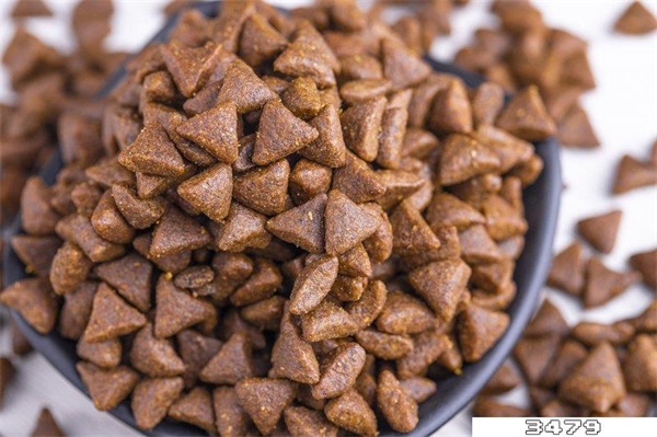 猫粮品牌十大排行，什么牌子的猫粮好