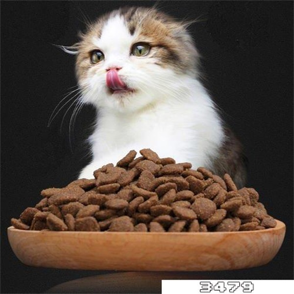 全价猫粮是什么意思，幼猫能吃吗