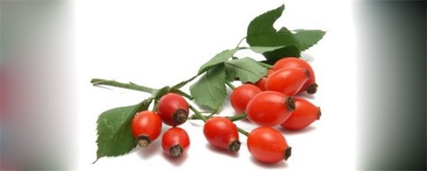 是先用精华还是先用玫瑰果油