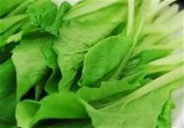 微创除皱的几种常见方法有哪些