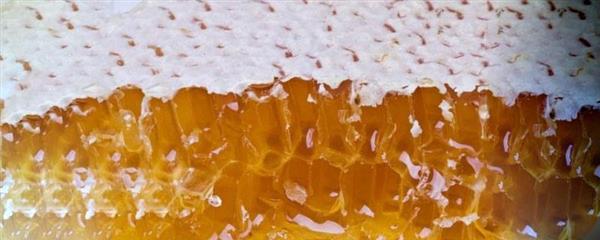 原蜜适合敏感肌肤吗