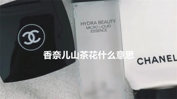 香奈儿山茶花什么意思