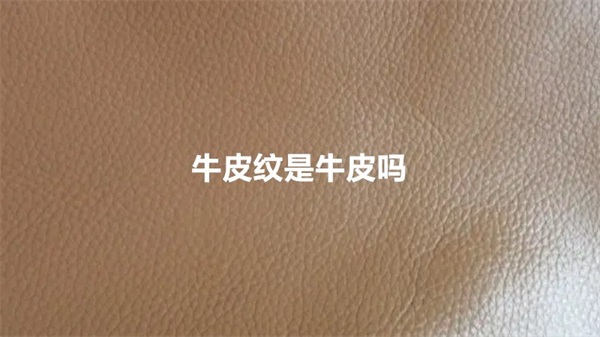 牛皮纹是牛皮吗