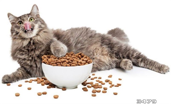 十大垃圾猫粮黑名单，毒猫粮排行榜