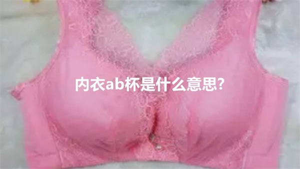 内衣ab杯是什么意思?