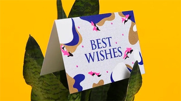 best wishes啥牌子