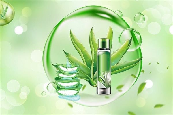 芦荟祛痘的正确用法是什么