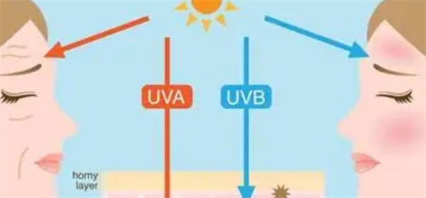 uva和uvb分别代表什么 uva uvb代表的是什么意思