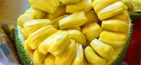 国产菠萝蜜的成熟时间 菠萝蜜成熟期是几月份