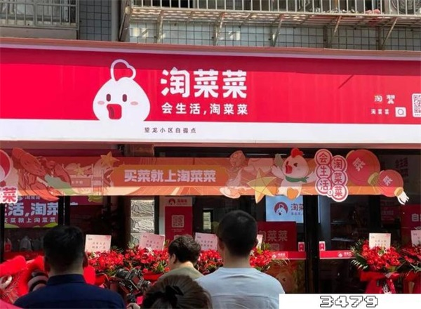 多多买菜和淘菜菜哪个更好？