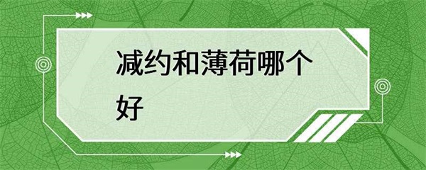 减约和薄荷哪个更好？